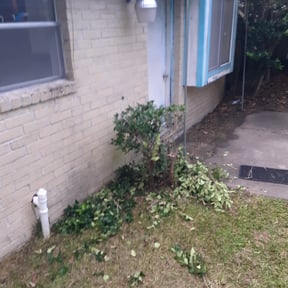 Bush Trimming by Moncada’s lawn care reviewed on August 16, 2025