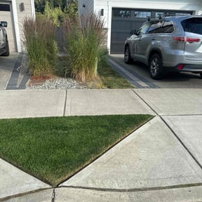 landscaping services by Lawn Guys reviewed on August 21, 2025