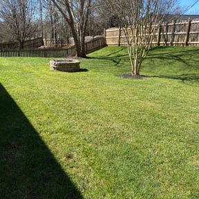 landscaping by Keep it Loe Lawn Service reviewed on May 3, 2024