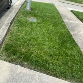 lawn care by KJ & Co reviewed on July 15, 2023
