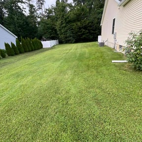 turf care by Fresh cut reviewed on June 4, 2025