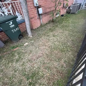 Leaf Removal by Striking Precision lawn service reviewed on November 25, 2025