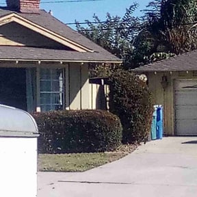 Bush Trimming by CnA Lawn and landscape reviewed on August 19, 2025