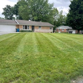 grass cutting by A &amp; S Contractor LLC reviewed on November 9, 2017