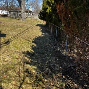 Bush Trimming by Blaylock Lawn Care reviewed on August 18, 2025