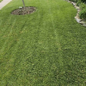 yard work by C&J Lawn Care reviewed on August 18, 2025