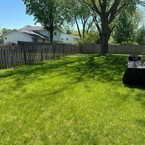 gardening service by Blades of Green, LLC reviewed on August 21, 2025