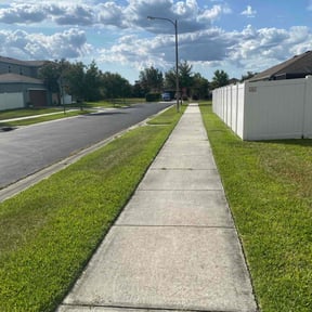 yard maintenance by Steele Clean reviewed on August 18, 2025