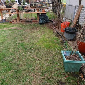 Leaf Removal by Henryjimenezllc reviewed on April 14, 2026