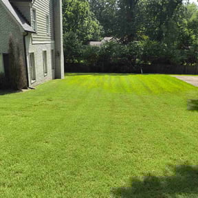 residential landscaping by The Bilingual Landscape Artist reviewed on August 15, 2025