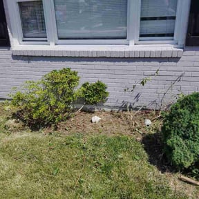 Flower Bed Weeding by CNR Landscaping reviewed on May 10, 2026