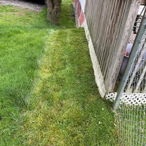 lawn service by The Royal Diamond Project LLC reviewed on October 21, 2024