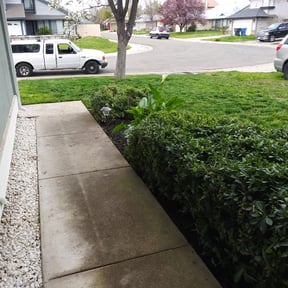 Bush Trimming by Banda Landscaping reviewed on August 17, 2025