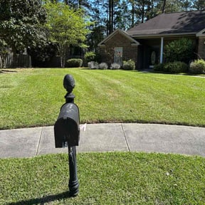 yard care by Kerncare lawncare reviewed on August 19, 2025