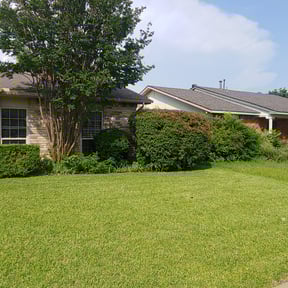 Bush Trimming by Martinez SoCal Landscape reviewed on August 18, 2025