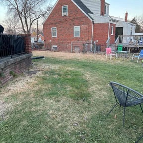 Leaf Removal by Hills&amp;Valleys Lawncare reviewed on November 29, 2025