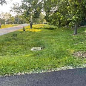 turf care by J to J Services reviewed on August 20, 2025