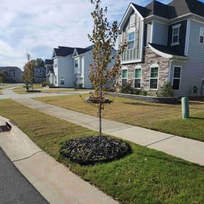 landscaping services by Hydra Lawn Care and Services reviewed on August 17, 2025