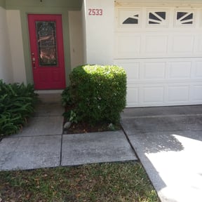 Bush Trimming by Alfas landscaping reviewed on August 21, 2025