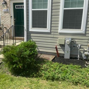 Bush Trimming by GT Custom Renovations LLC reviewed on May 8, 2024