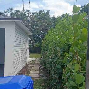 Bush Trimming by Valor construction and landscaping reviewed on April 23, 2026
