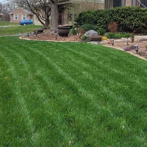 yard maintenance by Rjs landscaping and general clean up llc reviewed on August 16, 2025