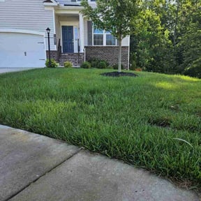 gardening service by Ramirez lawn and landscaping reviewed on August 20, 2025