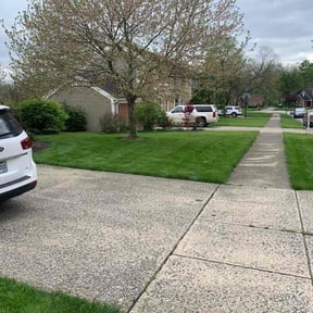 gardening service by Allure landscaping and lawn maintenance reviewed on February 13, 2026