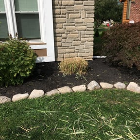 Bush Trimming by Hamilton Lawn Care Services LLC reviewed on August 16, 2025