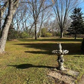 Leaf Removal by Leggy Lawn Care reviewed on November 22, 2025