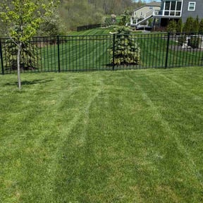 yard care by Lawn Enforcement Lawn Care LLC reviewed on August 20, 2025