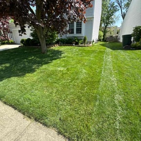 landscaping by MLB detailing LLC reviewed on December 2, 2025