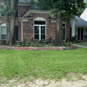 turf care by A&amp;M reviewed on August 19, 2025