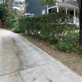 Bush Trimming by Greenview Lawn Solutions llc reviewed on August 20, 2025