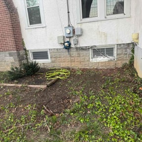 Leaf Removal by Jax Lawn Care Services reviewed on September 7, 2025