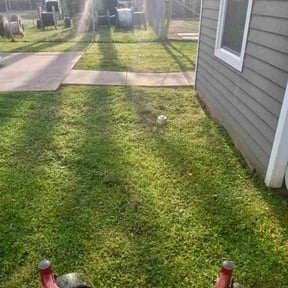 turf care by Bright Lawn Landscaping reviewed on May 1, 2024