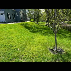 lawn maintenance by Clean Cut Boys reviewed on August 16, 2025