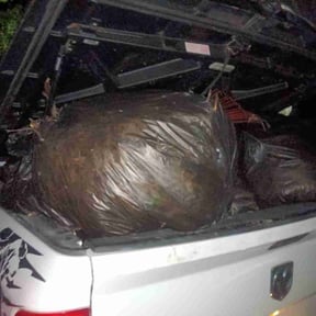 Leaf Removal by Millennium_11 Services reviewed on October 3, 2025