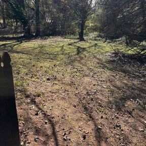 Leaf Removal by All Star Yard Maintenance reviewed on March 23, 2026