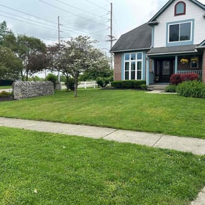 landscaping by Mow-2-Snow Yard Service reviewed on August 20, 2025