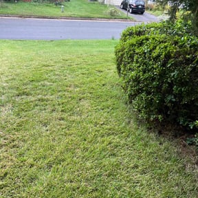 Bush Trimming by AAT Field Services reviewed on August 19, 2025
