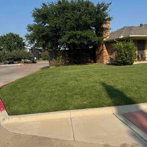 yard service by Earth lawn care and junk removal reviewed on August 20, 2025
