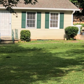Bush Trimming by Clean cut LawnCare and landscaping LLC reviewed on October 11, 2023