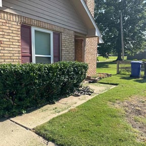 Bush Trimming by The Lawn Cypress reviewed on August 18, 2025