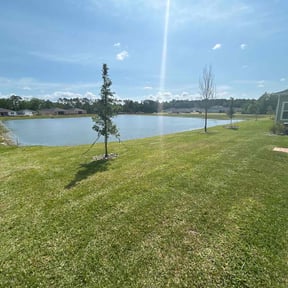 landscaping services by The Helping Pro reviewed on August 17, 2025