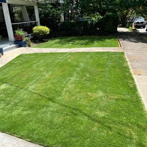 landscape maintenance by JLS Lawn Care reviewed on December 8, 2023