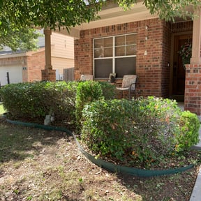 Bush Trimming by WEFIXITALLSERVICES reviewed on August 16, 2025