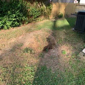 Bush Trimming by Tater&#039;s Lawn Care reviewed on July 10, 2025