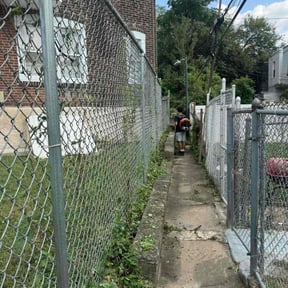 Bush Trimming by Lewis Lawn Service reviewed on August 15, 2025