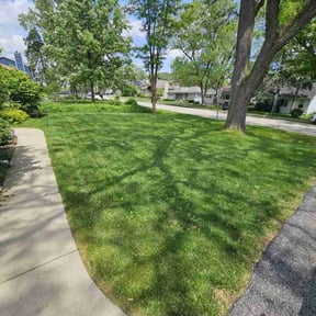 yard care by Lawn Expressions reviewed on August 15, 2025